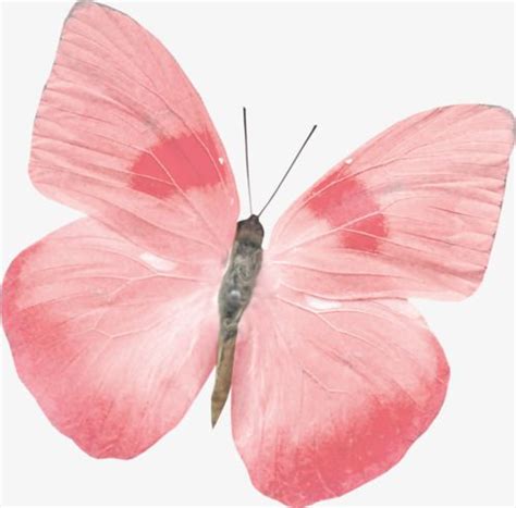Papillon Butterfly Butterfly Clip Art Butterfly Painting Butterfly Wallpaper Pink Butterfly