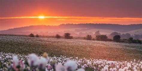 Introducing The New Chair Of The Chilterns Conservation Board Colin