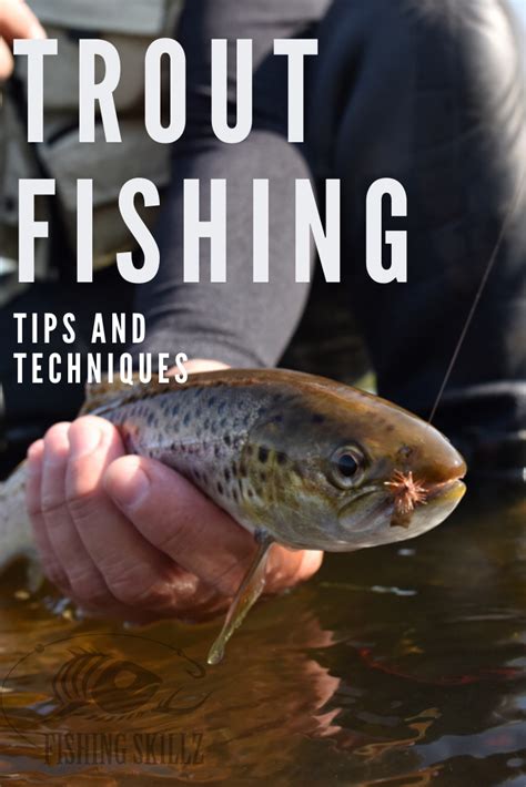 These Trout Fishing Tips And Techniques Will Give You All The