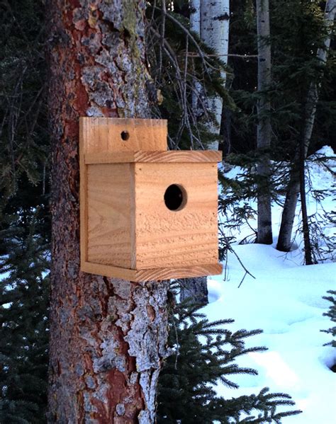 Building bird houses out of wood is easy if you use the right decorative free plans and proper. 38 Free Birdhouse Plans | Guide Patterns