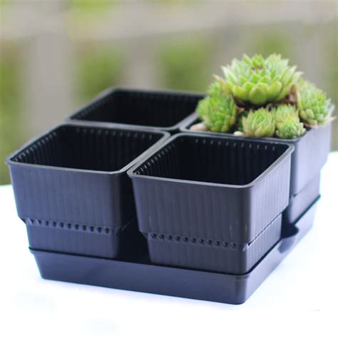 Square Plastic Succulent Planter Pots Tray Set Garden Nursery Cactus