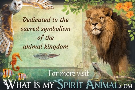 Animal Symbolism And Meanings Spirit Totem And Power Animal