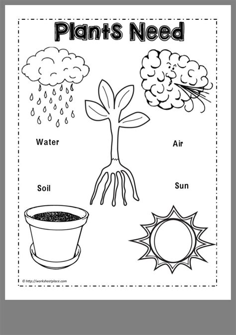 Pin By Diane Mayer On Science Preschool Science Activities Plant