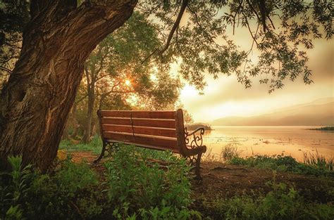 🇰🇷 Bench In The Park South Korea By C1113 On 500px 🌅 Bench