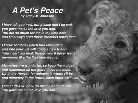 Dog Grief Poems