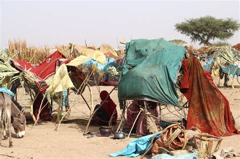 السودان مفوضية اللاجئين تصف مشهداً ضبابياً ومعقداً على الأرض، فيما