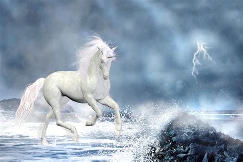 White Unicorn Digital Art By Simone Gatterwe Pixels