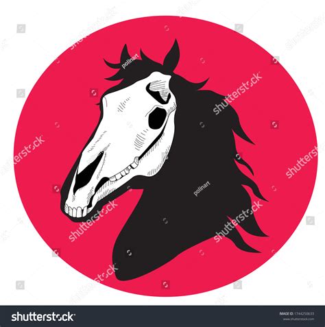 Horse Head Skull Photos And Images Shutterstock