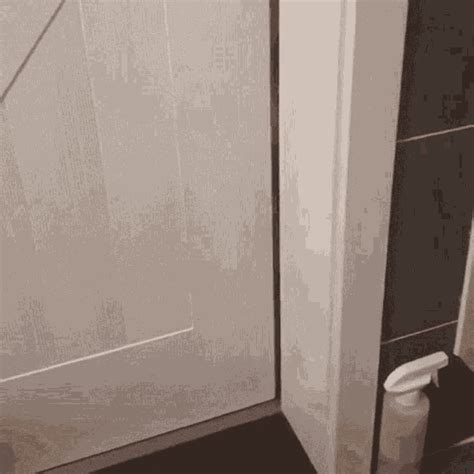 Reverse Cat Leaving GIF Reverse Cat Leaving Discover Share GIFs