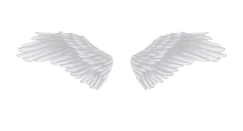 White Angel Wings Png