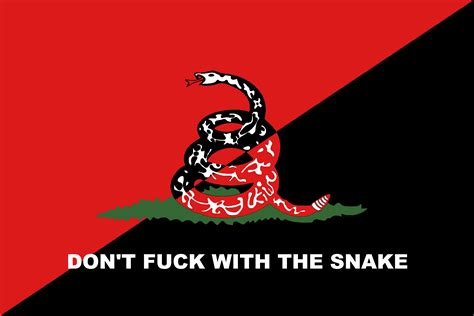 Anarcho Syndicalistpunk Gadsden Flag Vexillology