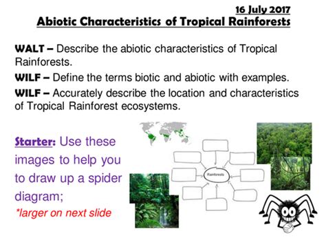 Edexcel A Ecosystems Abiotic Characteristics Of Tropical Rainforests