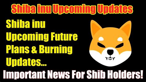 Shiba Inu Metavers Swap And Burning Updates Shiba Inu Latest Updates