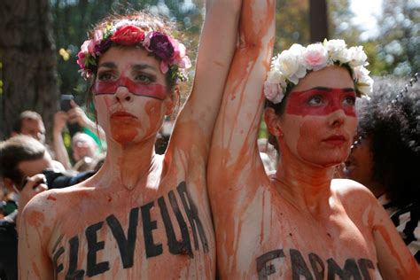 In Photos Protests At Brazilian Embassies Worldwide As Amazon Rainforest Fires Rage National