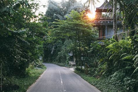 Road In Tropical Island At Sunset By Stocksy Contributor Alejandro Moreno De Carlos Stocksy