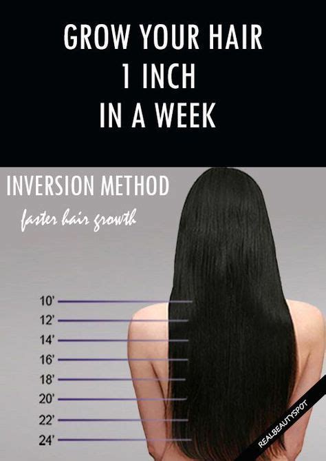 I cut a lock of hait so it was easy to find, and measured it for a month before i started to find out how fast my hair normally grows (ca. Inversion Method - grow your hair 1 Inch in a Week (With ...