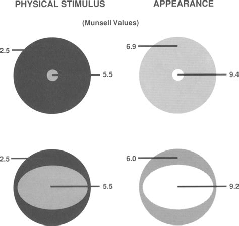 Schematic Of The Physical Stimuli And Perceived Lightness Values In