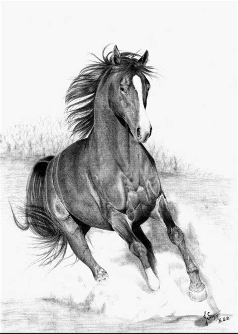 Also take print out of these horse outline drawing images for your children drawing and coloring activity. What are the best pencil sketches of running horses? - Quora