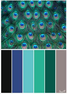 Unlike most birds, peacocks do not derive their colors purely from pigments, but from a combination of pigments and photonic crystals. 87 Best Color Palette for Peacocks images in 2016 | Paint colors, Peacock color scheme, Color ...