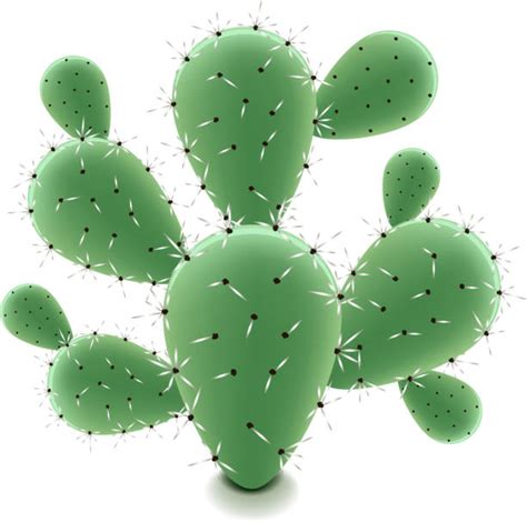Royalty Free Prickly Pear Cactus Clip Art Vector Images