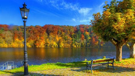River Between Colorful Autumn Leafed Trees Forest And Green Grass Bench