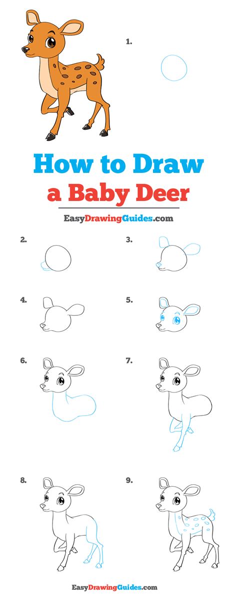 How To Draw A Baby Deer Really Easy Drawing Tutorial