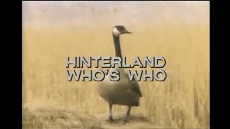 Hinterland Whos Who Canada Goose Youtube