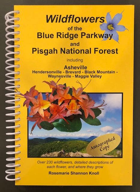 Book Wildflowers Of The Blue Ridge Parkway And Pisgah National Forest