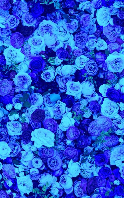 Amazing natural blue flowers image. Nature Beautiful Blue Rose Flowers - iPhone Wallpaper ...