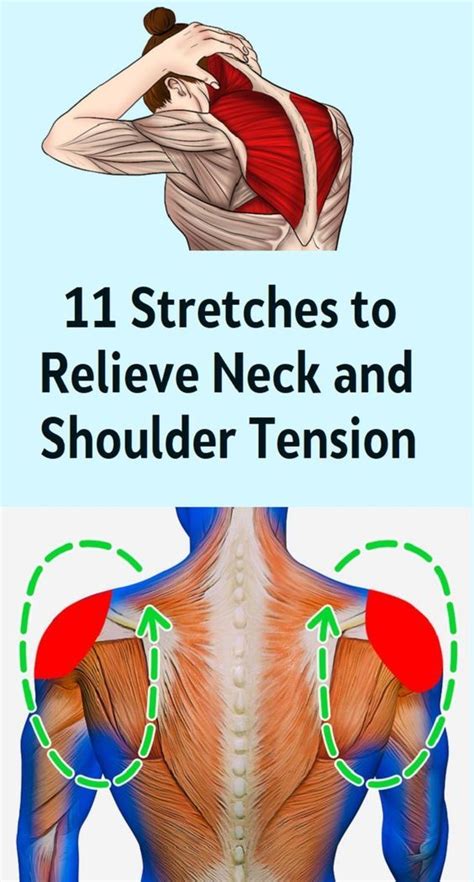 Stretches To Relieve Neck And Shoulder Tension Neck Exercises