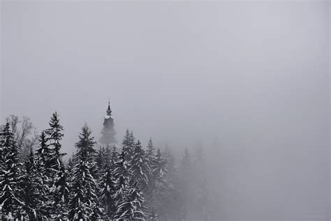 Snow Winter Morning Mist Pine Trees Freezing Haze Fog Mountain