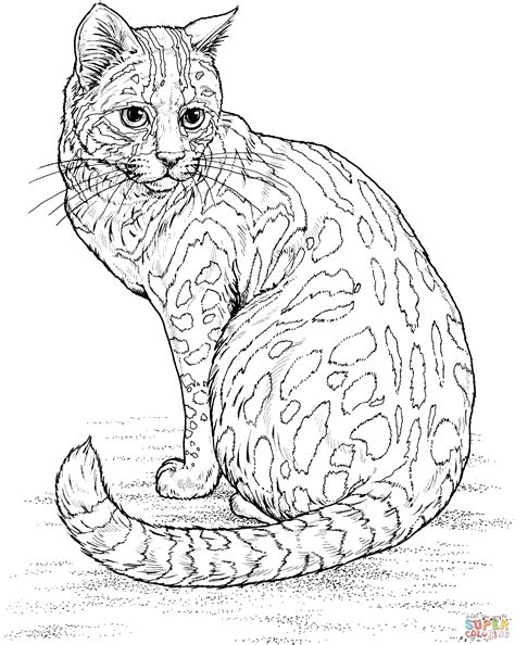 🐈 30 coloring sheets for grown ups. Leopard Cat coloring page | Free Printable Coloring Pages