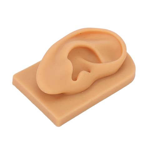 Silicone Right Ear Model Soft Flexible Waterproof Hearing Aid Display