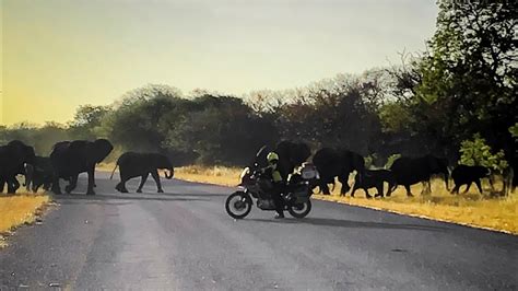 If pcr testing swabs contain this hidden technology, which it appears is possible, then people who. NAMIBIA MOTORCYCLE TOUR : RUNDU TO KASANE ( Botswana ...