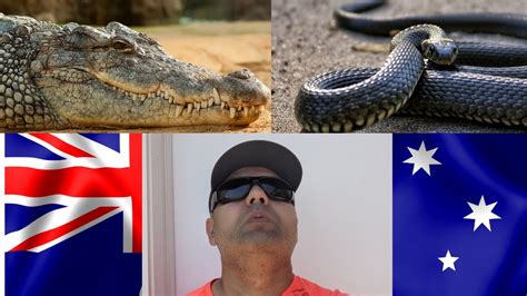 Top 10 Dangerous Animals In Australia Youtube