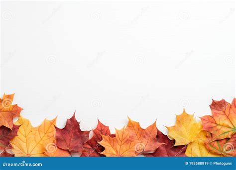 Autumn Leaves Border Frame On White Table Greeting Card Mockup For