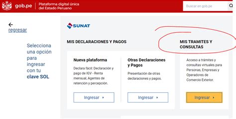 Consulta De Validez De Comprobante De Pago Electr Nico Sunat Macro The Best Porn Website