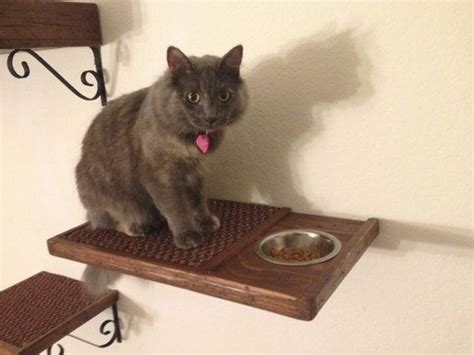But another way you can make your cat more comfortable is by elevating the eating surface. 20 Useful DIY Pet Food Stations - Pretty Designs