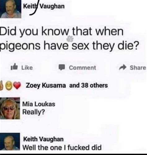 Did You Know That When Pigeons Have Sex They Die 1 Like Comment Share