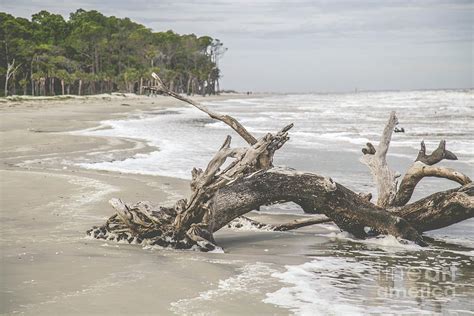 Hunting Island Beach South Carolina Photograph By Tamara Lance Pixels