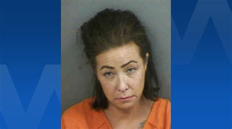 Collier County Woman Faces Vehicular Homicide Charge For Wrong Way