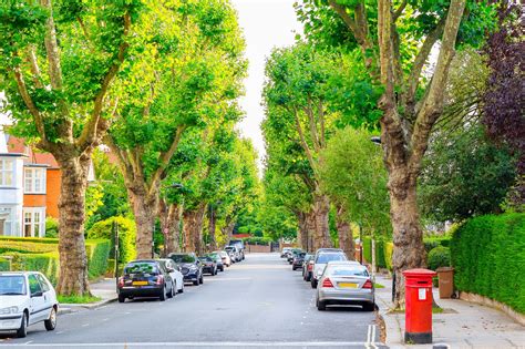 Gardens Help Towns And Cities Beat Countryside For Tree Cover Bbc News