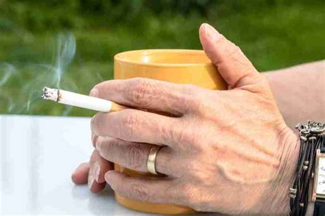Wahai Perokok Ketahui Tiga Fakta Terbaru Nikotin NNC Netralnews