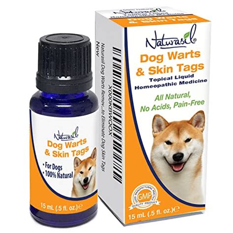 10 Ways To Deal With Dog Mouth Warts Top Dog Tips