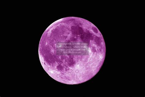 Purple Full Moon Photos Full Moon Photos