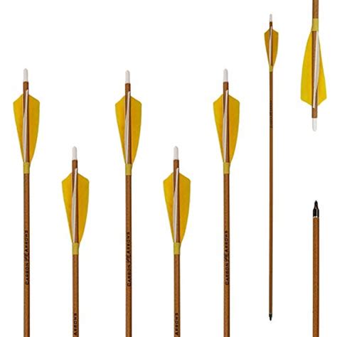 Which Are The Best 500 Spine Arrows With Feathers Available In 2019