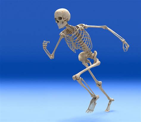 Just Walk Out You Can Leave Skeleton Running Rmemetemplatesofficial