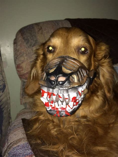 People Are Sharing What Their Dogs Look Like With This Scary Dog Muzzle