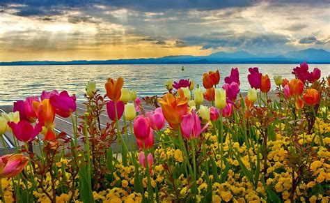 Pretty Spring Backgrounds And Wallpapers 60 Images