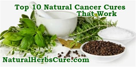 Top 10 Natural Cures Home Remedies For Cancer Effective